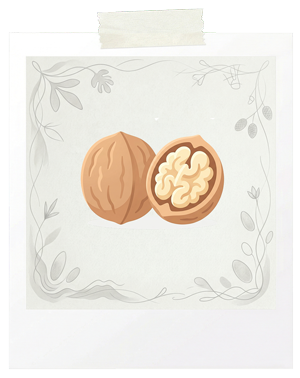 Frutos Secos y Semillas